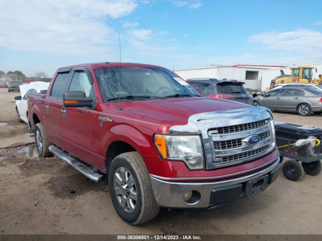 FORD F-150 2013 1ftew1cmxdke86660