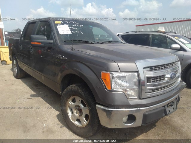 FORD F-150 2013 1ftew1cmxdkf00444