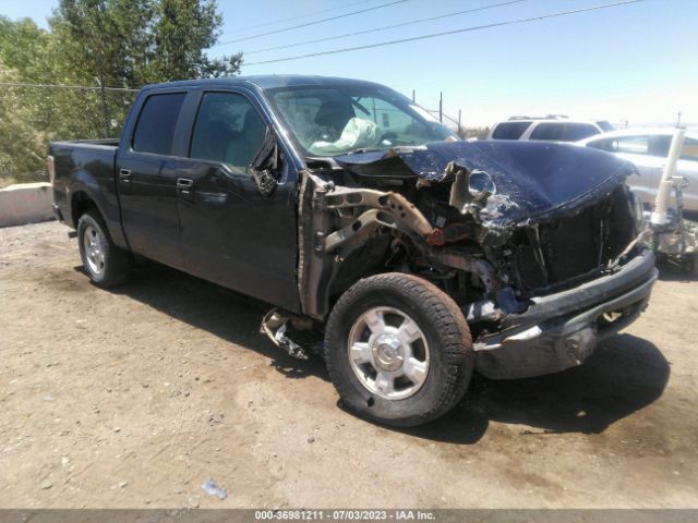 FORD F-150 2013 1ftew1cmxdkf43942