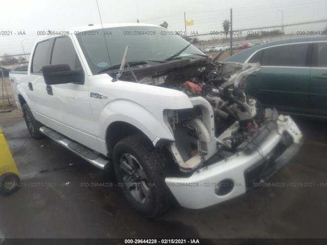 FORD F-150 2014 1ftew1cmxefa45587