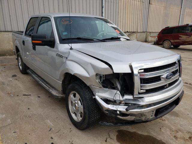 FORD F-150 2014 1ftew1cmxefa71946