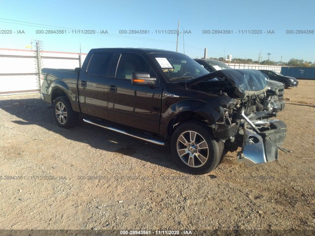 FORD F-150 2014 1ftew1cmxeke41543