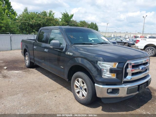 FORD F-150 2015 1ftew1cp0ffa61681