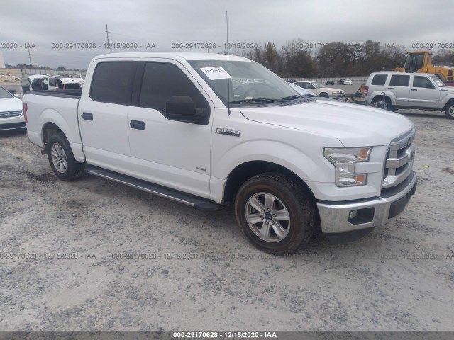 FORD F-150 2015 1ftew1cp0ffb11592