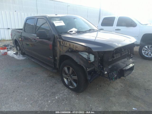 FORD F-150 2015 1ftew1cp0fkd25411