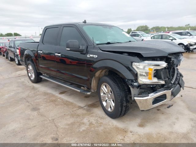 FORD F-150 2019 1ftew1cp0kkc96180