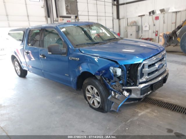 FORD F-150 2015 1ftew1cp1fkd48261