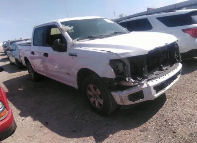 FORD F-150 2015 1ftew1cp1fkd88663