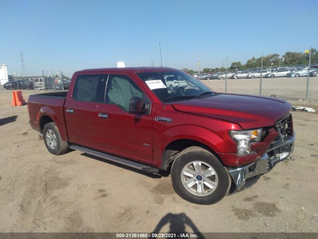 FORD F-150 2017 1ftew1cp1hfc81706