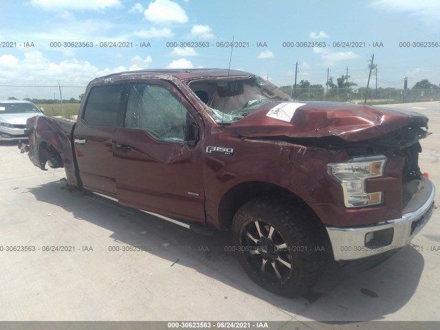 FORD F-150 2015 1ftew1cp2fke48045