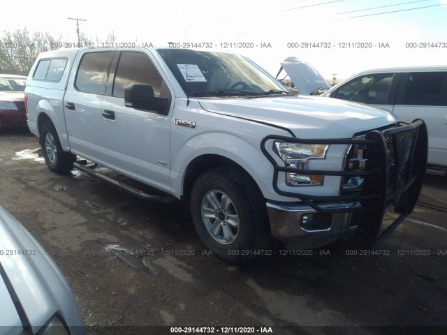 FORD F-150 2015 1ftew1cp2fke86973