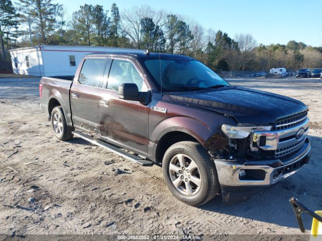 FORD NULL 2019 1ftew1cp2kfa51373