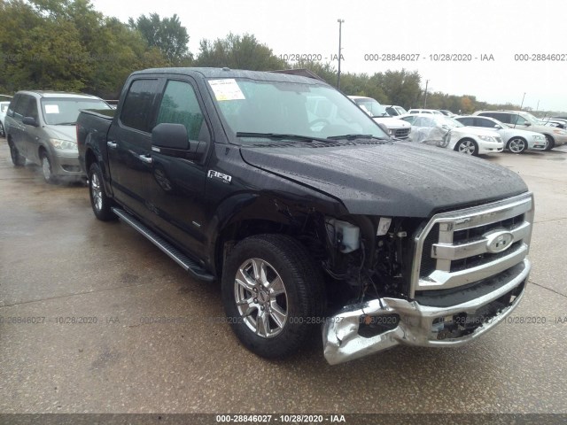 FORD F-150 2015 1ftew1cp3ffa50271