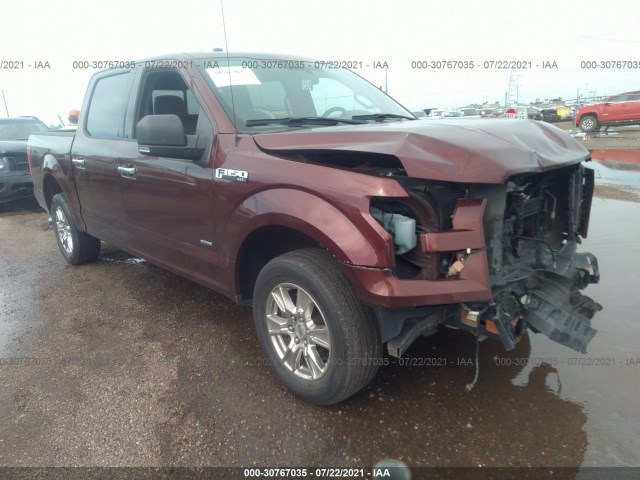 FORD F-150 2015 1ftew1cp3fke47552