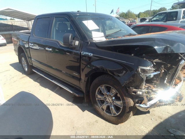 FORD F-150 2016 1ftew1cp3gfb49982