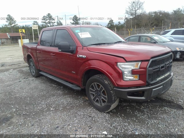 FORD F-150 2015 1ftew1cp4ffb71763