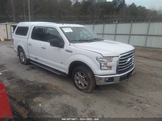 FORD F-150 2015 1ftew1cp4ffc84354