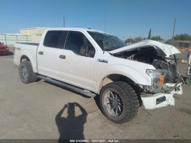 FORD F-150 2019 1ftew1cp4kkc07338