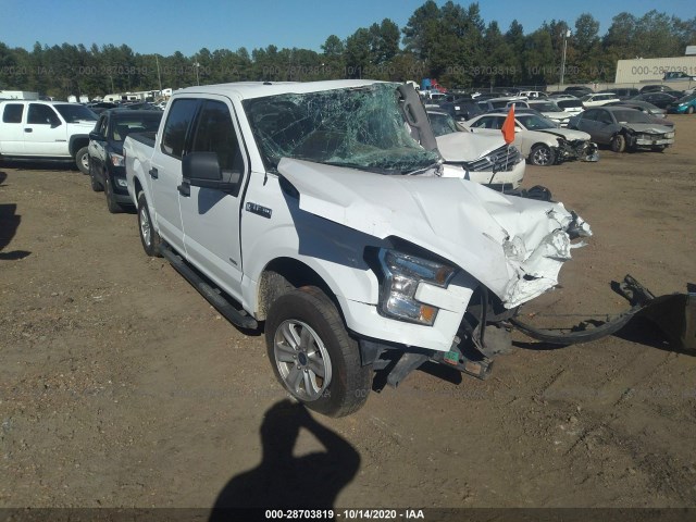 FORD F-150 2015 1ftew1cp5ffa57416