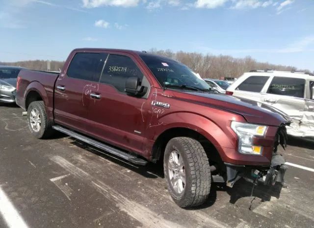 FORD F-150 2015 1ftew1cp5fke98132