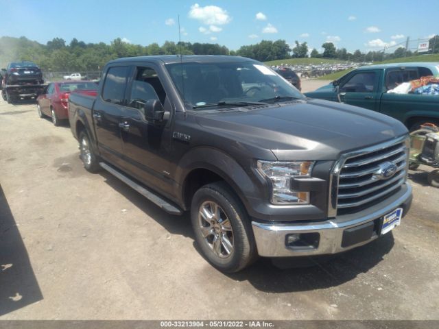 FORD F-150 2015 1ftew1cp6fke97216