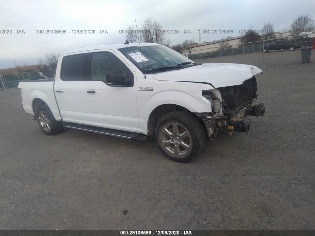 FORD F-150 2019 1ftew1cp6kkc10581