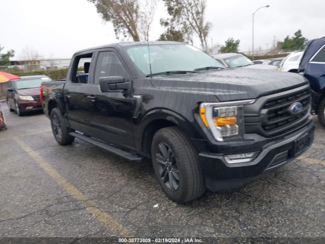 FORD F-150 2023 1ftew1cp6pke70891