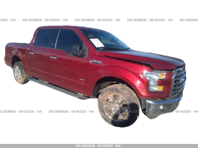 FORD F-150 2015 1ftew1cp7ffc31552