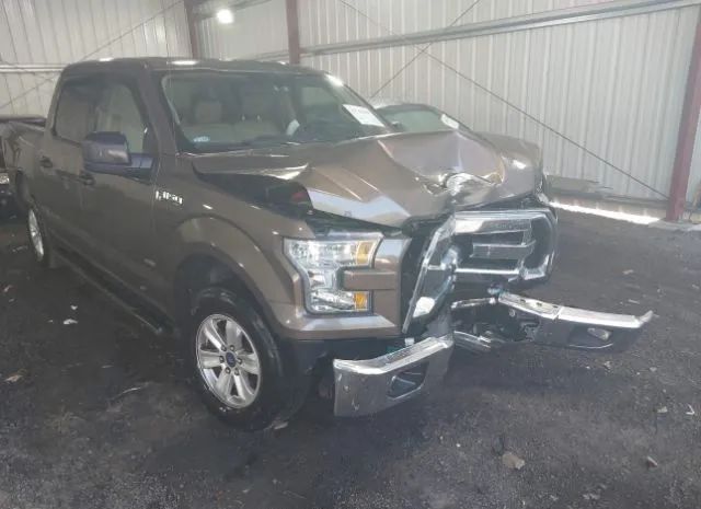 FORD F-150 2015 1ftew1cp7fke98844