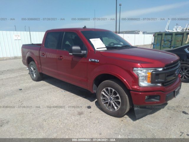 FORD F-150 2019 1ftew1cp7kkf26975