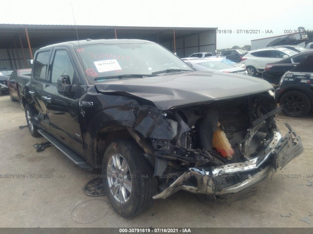 FORD F-150 2015 1ftew1cp8ffd07781