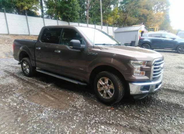 FORD F-150 2015 1ftew1cp8fke42606