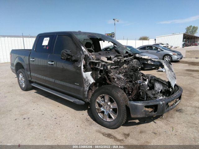 FORD F-150 2015 1ftew1cp8fkf00973