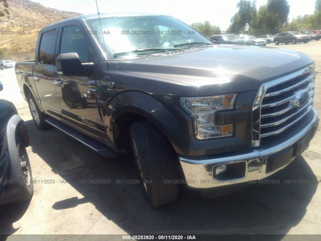 FORD F-150 2015 1ftew1cp8fkf05753