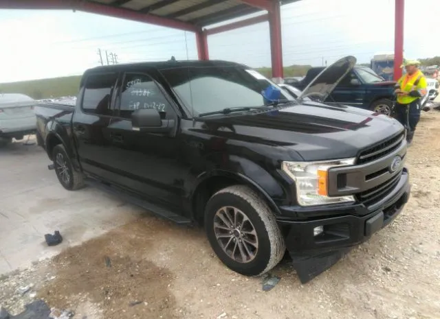 FORD F-150 2019 1ftew1cp8kfb25413