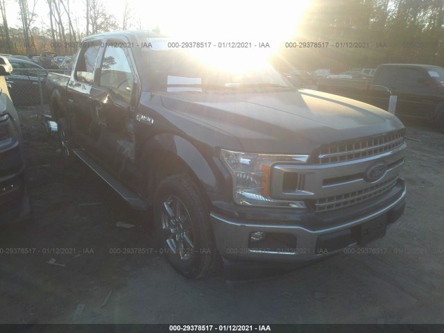 FORD F-150 2019 1ftew1cp8kfd50639