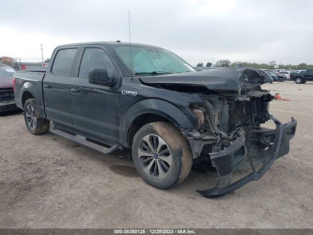 FORD F-150 2019 1ftew1cp8kkc30301