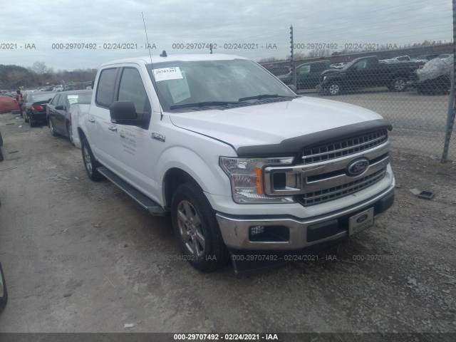 FORD F-150 2019 1ftew1cp8kkd42337