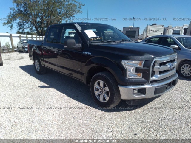 FORD F-150 2015 1ftew1cpxffa49389