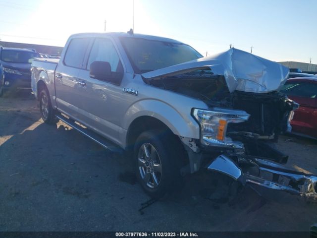 FORD F-150 2019 1ftew1cpxkkc09689