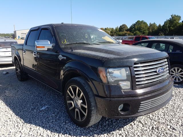 FORD F150 SUPER 2010 1ftew1cv2afb26411