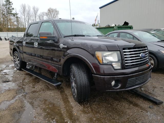 FORD F150 SUPER 2010 1ftew1cvxafd49165