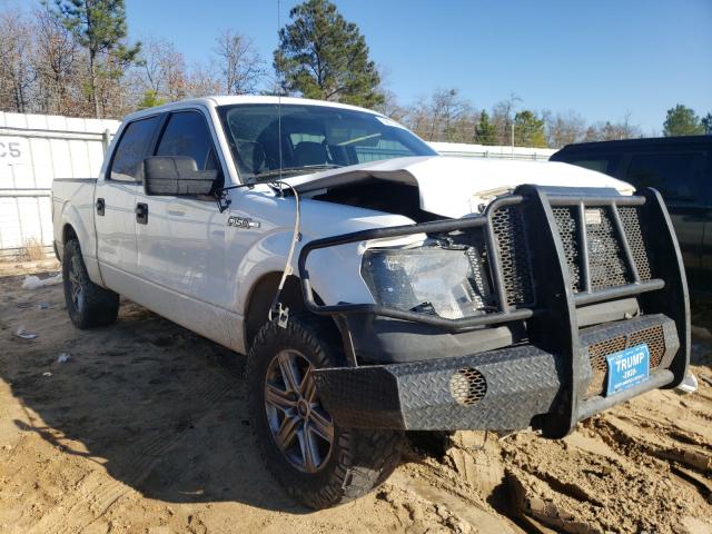 FORD F150 2010 1ftew1cw0afd01733