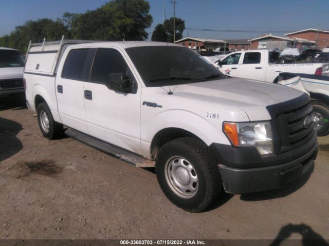 FORD F-150 2010 1ftew1cw0afd57185