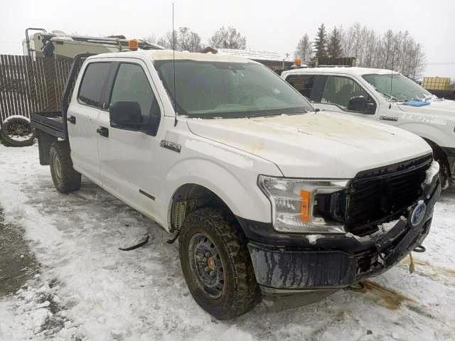 FORD F150 SUPER 2019 1ftew1e10kfb64098