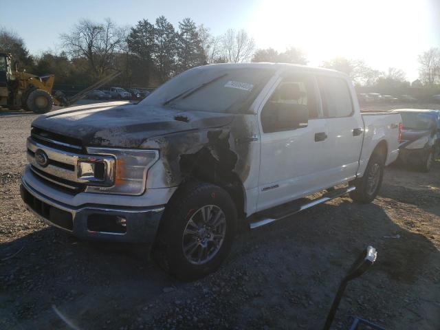 FORD F-150 2020 1ftew1e14lfa44967