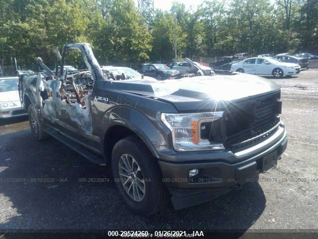 FORD F-150 2019 1ftew1e43kfb33809