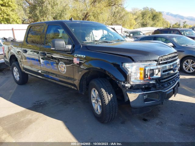 FORD F-150 2019 1ftew1e43kke40601