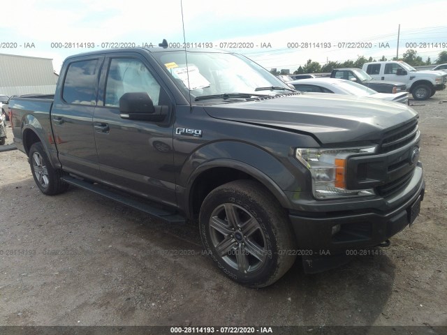 FORD F-150 2019 1ftew1e44kkc83726