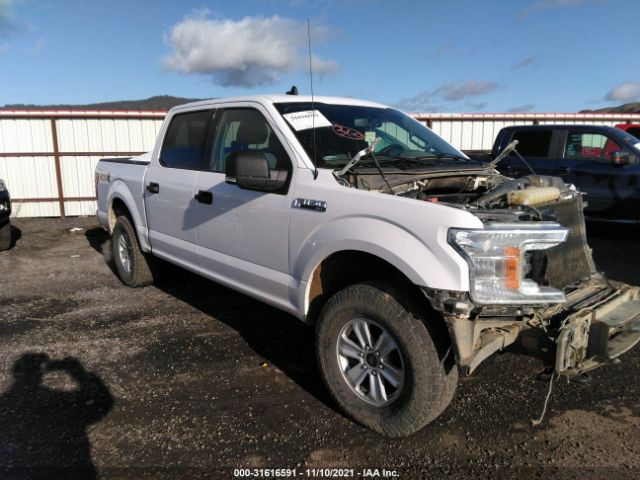 FORD F-150 2019 1ftew1e46kkc43440